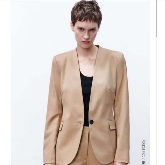 Zara Taupe Brown Tailored Blazer - Picture 5 of 6